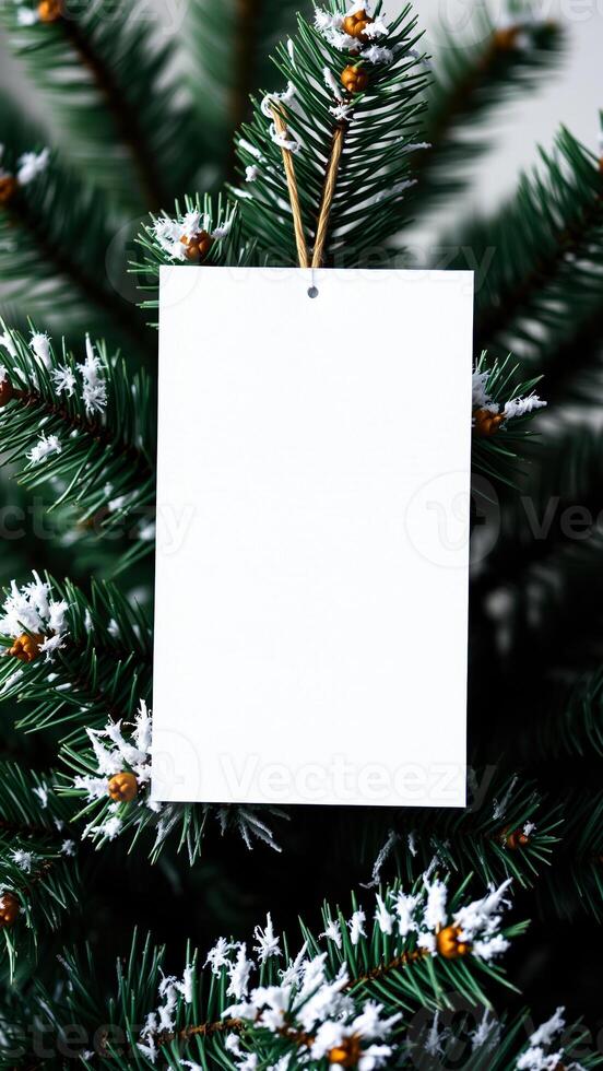 blank white card hanging on a snow-covered evergreen branch photo