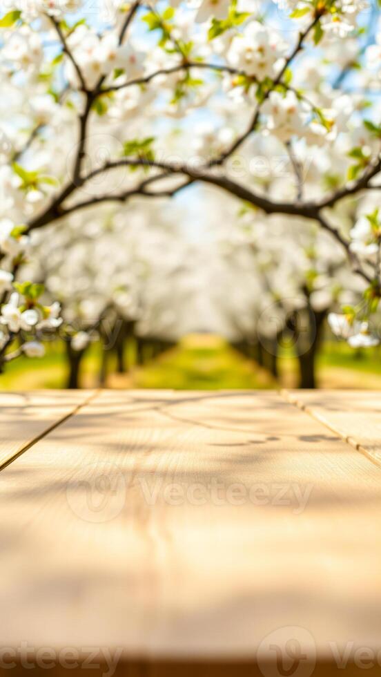 wooden table with a blurred background white blossoms photo