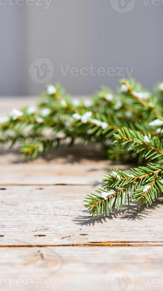 single pine branch with snow on a wooden surface photo