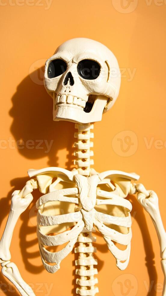 plastic skeleton stands against an background photo
