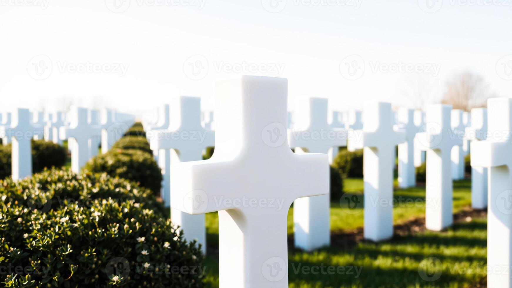 single stands out among many a field white marble graves photo