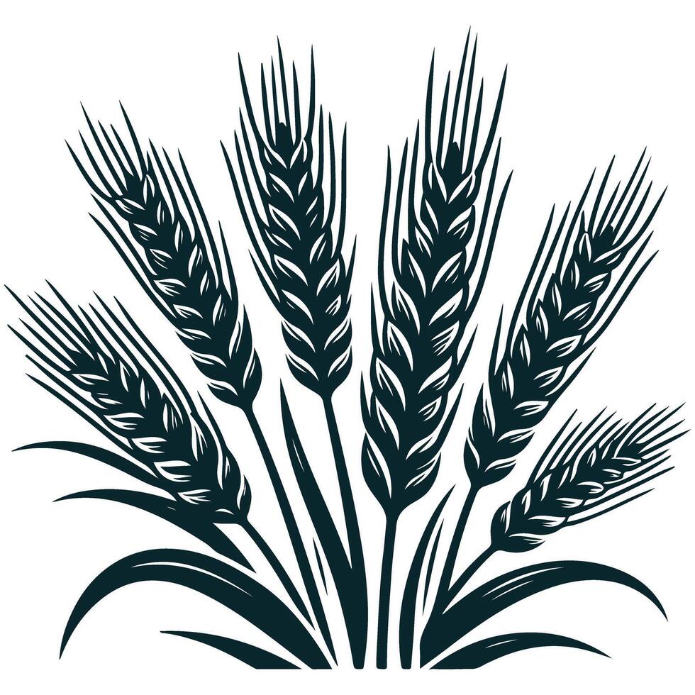 Wheat on a white background vector