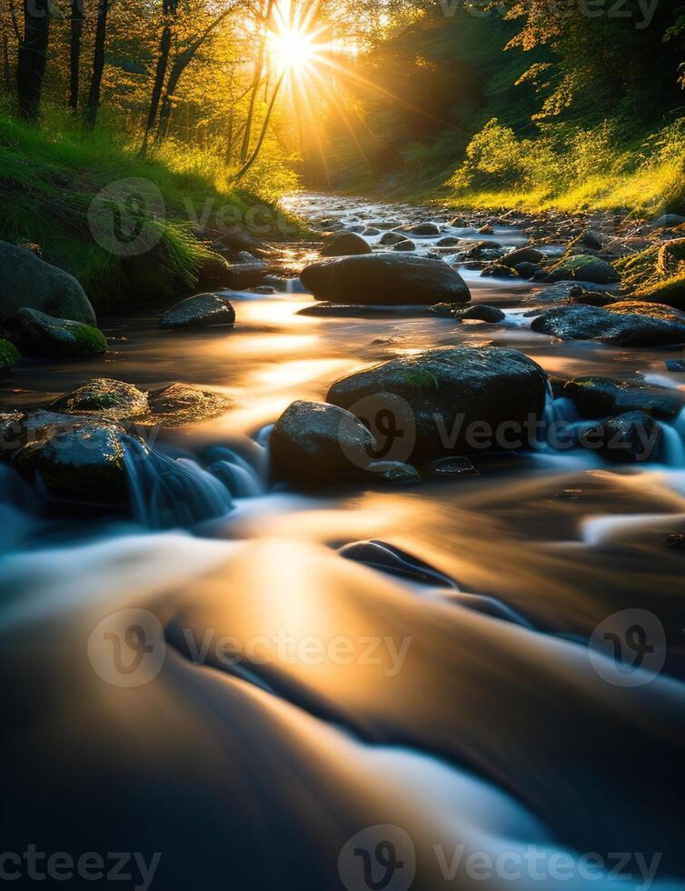 A river flowing through a forest at sunset photo