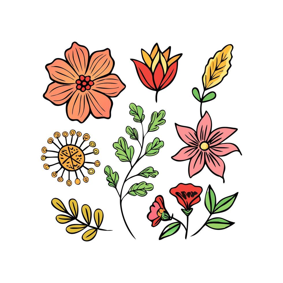 Flowers and leaves illustration vector