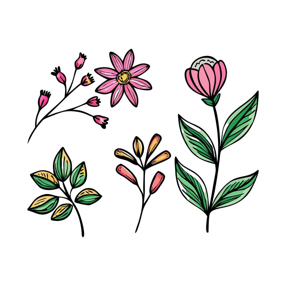 Hand drawn flowers and leaves on white background vector