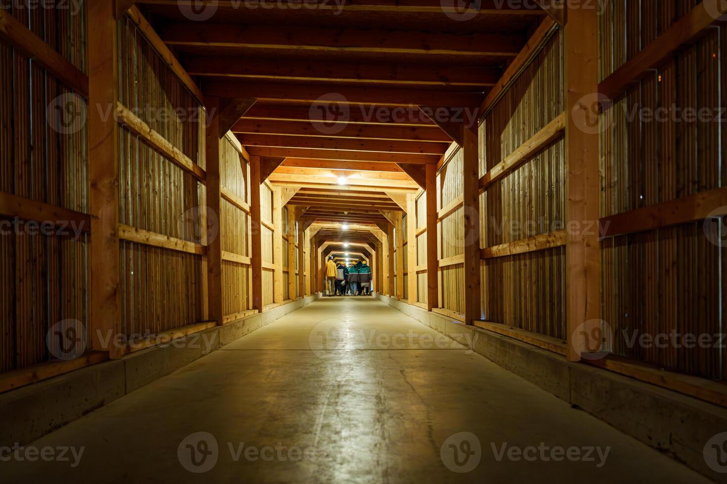 A rustic wooden barn aisle with tall hay bales on both sides creates a warm atmosphere. Soft light bulbs hang from the ceiling, illuminating the charming setting beautifully. photo