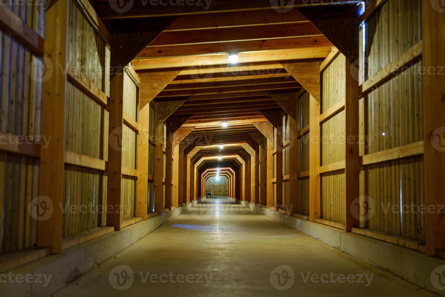This spacious barn aisle features a long layout with a high ceiling, rustic wooden walls, and a durable concrete floor. Elegant lights hang from the ceiling, creating a warm ambiance. photo