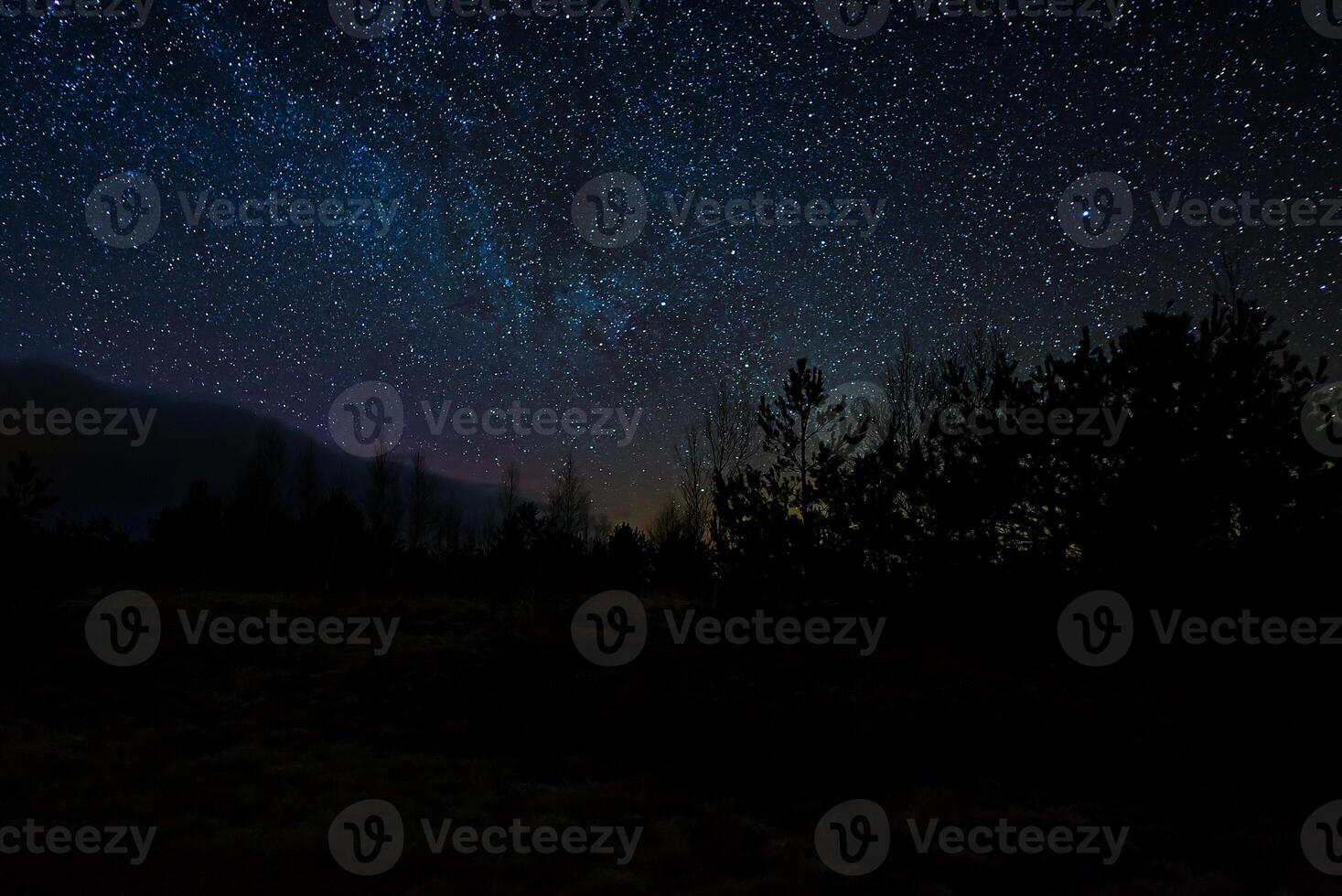 The dark blue sky is filled with bright stars of various sizes. Tall, dark trees stand in the foreground. The calm water reflects the sky and stars, creating a peaceful scene. photo