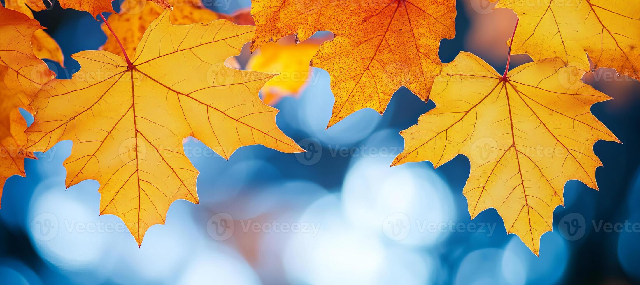 Vibrant Orange Maple Leaves on a Branch Against a Sparkling Blue Bokeh Background, Autumn Scene photo