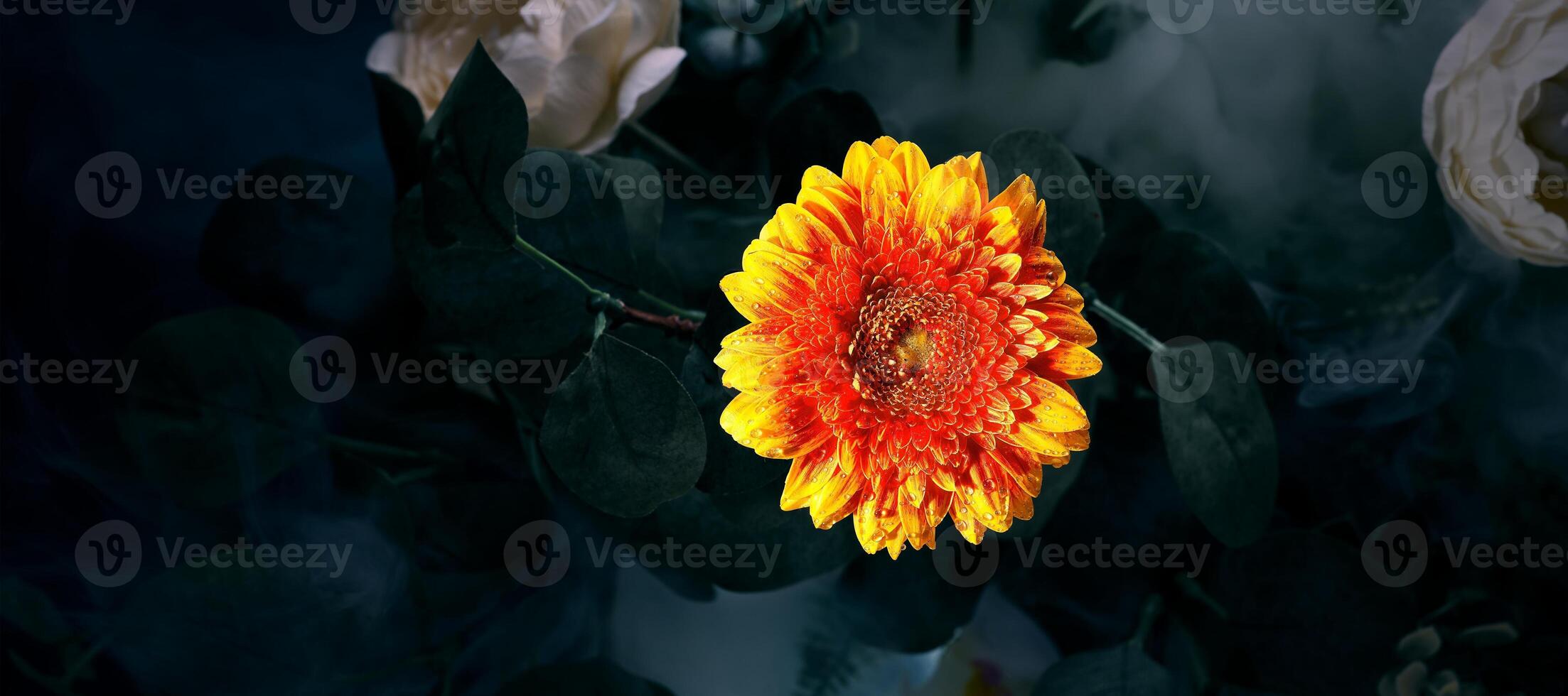 This image displays a vibrant orange gerbera flower against a dark background, creating a striking contrast. The vintage effect adds charm, ideal for design projects, invitations, or home decor. photo