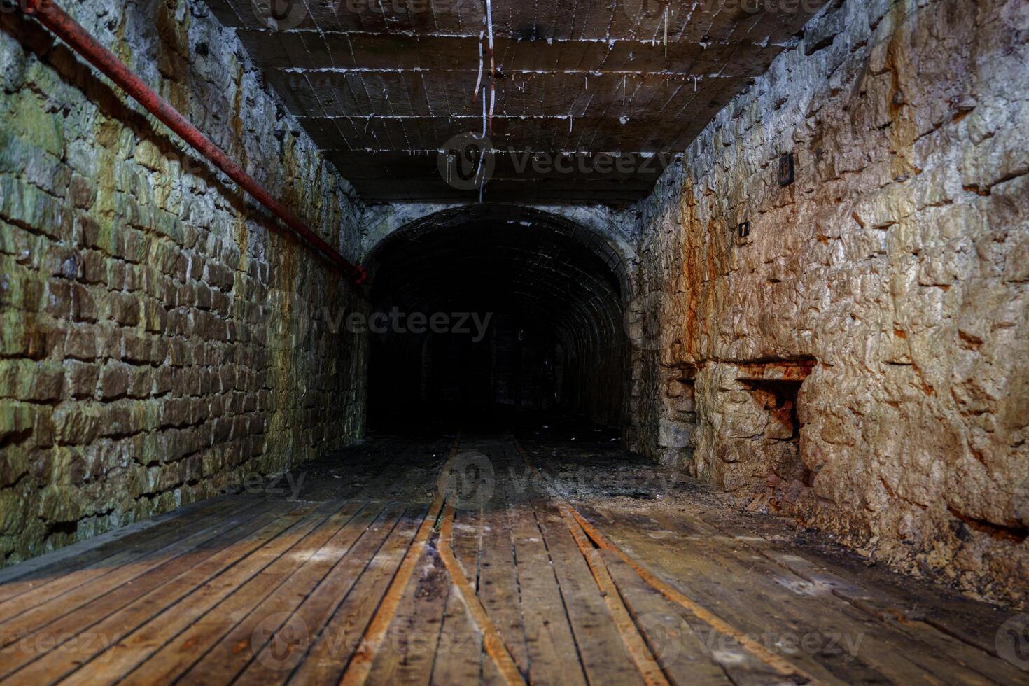 This dark underground tunnel features aged brick walls and a creaky wooden floor. It is unsafe for children to explore alone due to insects and rodents that lurk in the shadows. photo