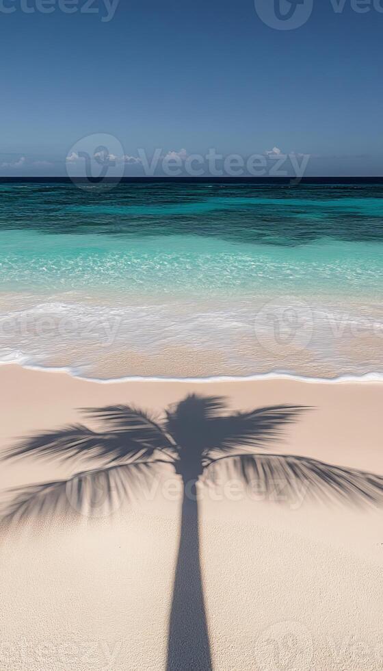 Tropical Paradise Palm Tree Shadow on Idyllic White Sand Beach with Turquoise Ocean and Blue Sky photo