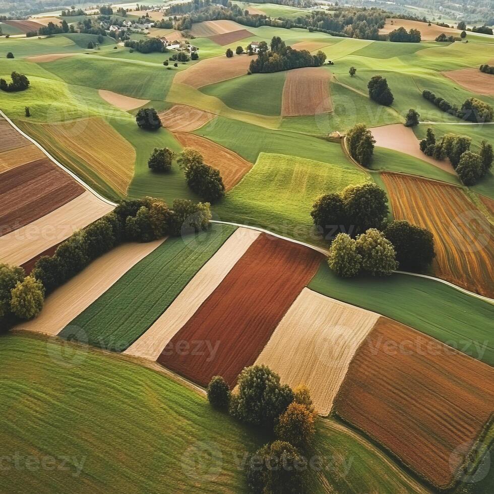 Geometric Landscape. Scenic Aerial View of Colorful Farm Fields Agricultural Pattern in Rural Area photo