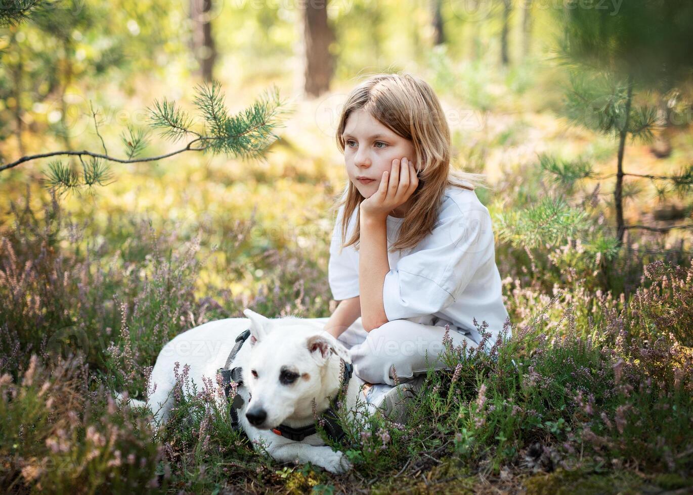 A child relaxing with a dog in a forest photo