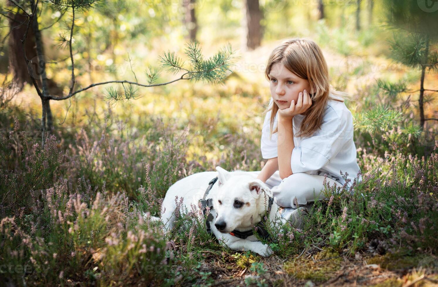 A child relaxing with a dog in a serene forest, surrounded by greenery and blooming flowers on a sunny day photo
