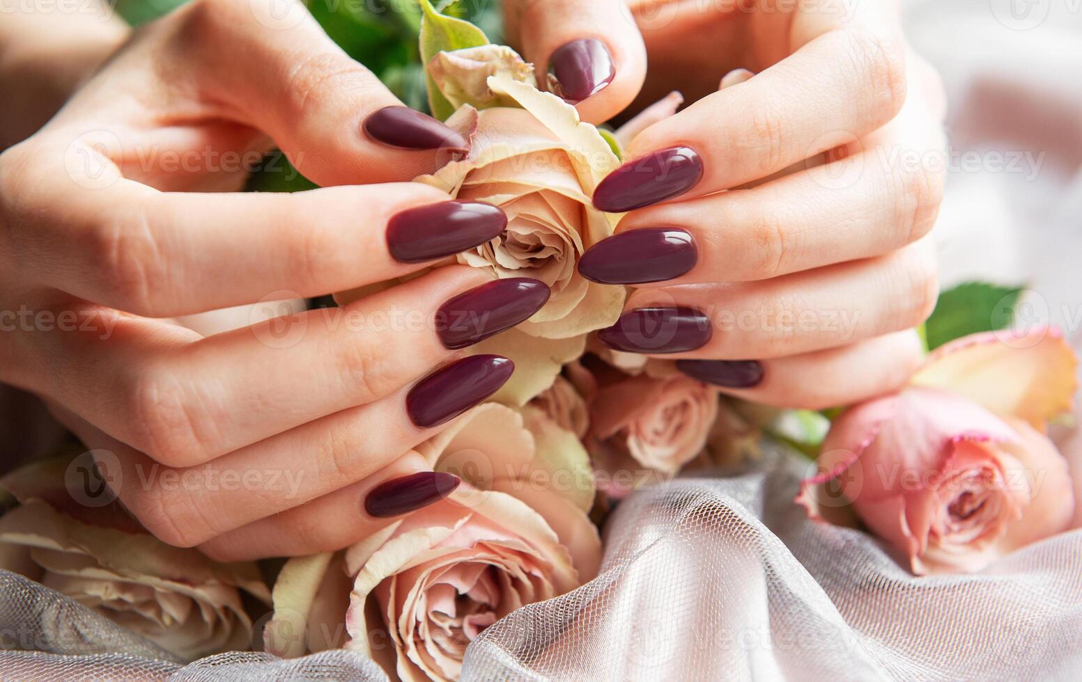 Elegant hands adorned with dark purple nails delicately hold soft pink roses on a light fabric backdrop photo