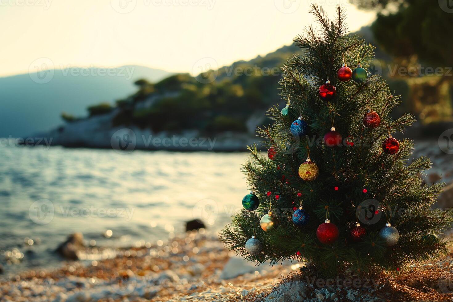 Vibrant Christmas Ornaments Hanging on a Pine Tree by the Seaside in a Tropical Holiday Setting photo