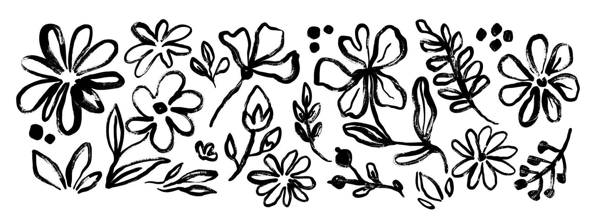 Abstract ink flower. Hand drawn brush floral silhouette. Sketch strokes natural forms. Black grunge paint flowers, leaves, blossom, branches. Botanical set vector