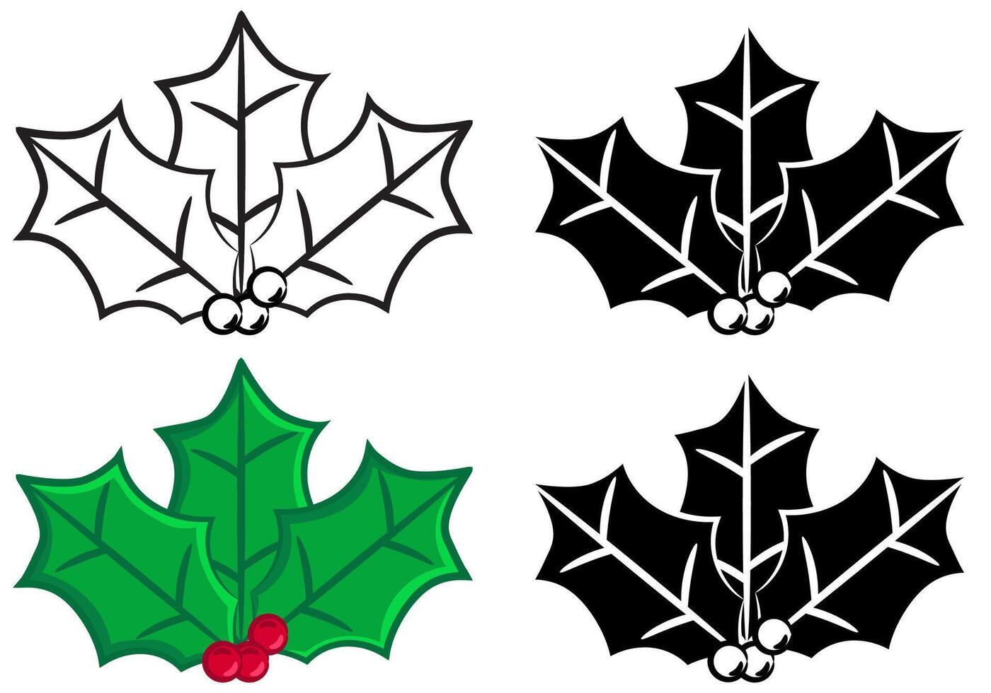 Set of festive Holly vectors in Black and white and colour with cartoon style outline versions isolated on a white background
