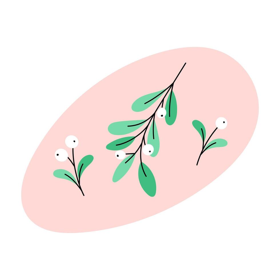 Mistletoe leaves and berries isolated. Cute Christmas illustration. Natural Xmas holiday symbol for December seasonal designs and greeting card Flat and doodle elements. vector