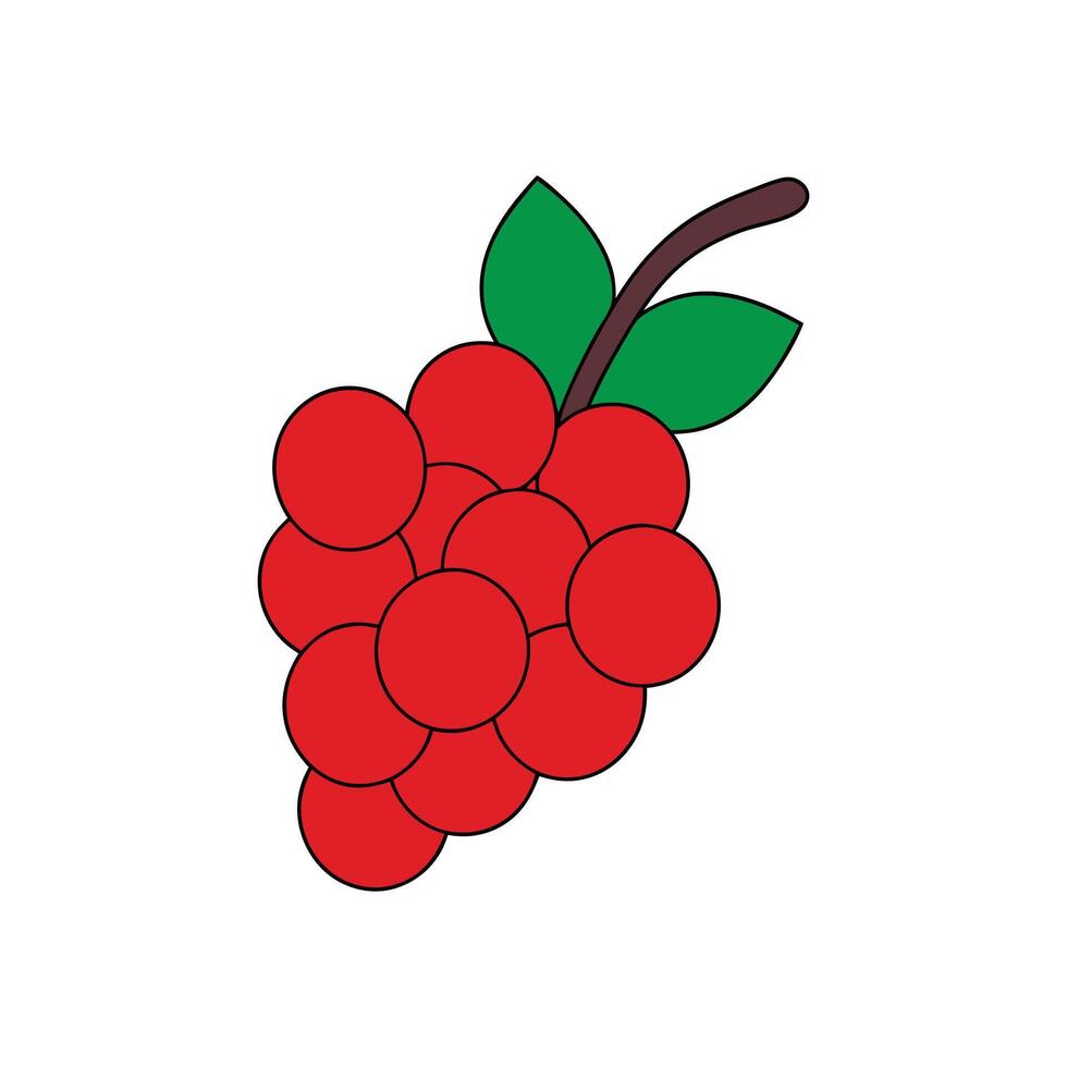 A red fruit with leaves and berries on it vector