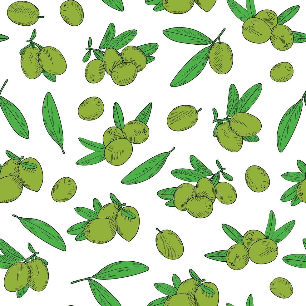Illustration in hand drawn style. Can be used to create packaging, covers, backgrounds, cards, textiles, clothing, souvenirs, Seamless endless pattern of olives. vector
