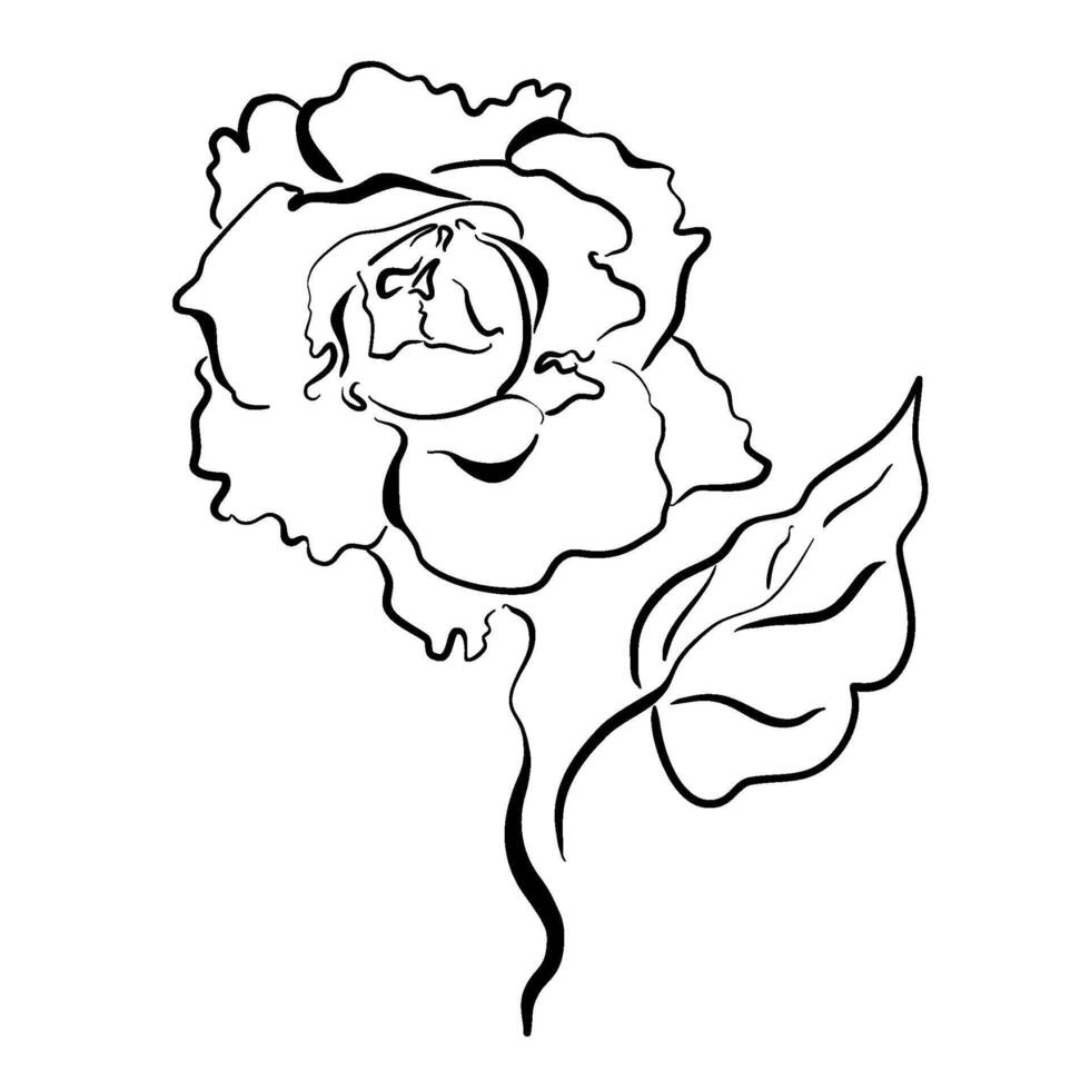 Rose flower in doodle style vector