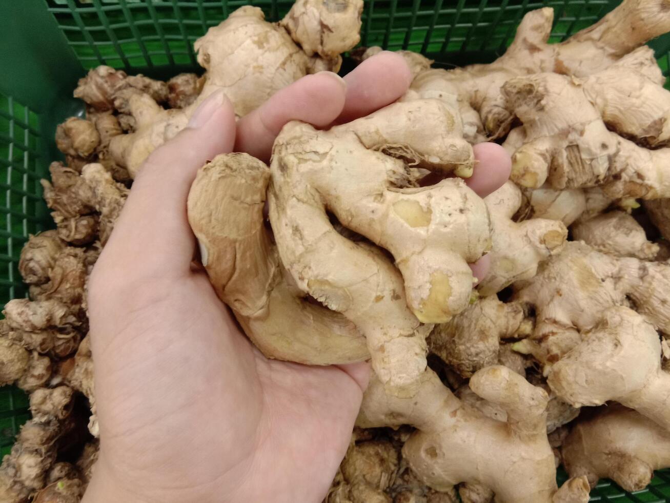 turmeric in supermarkets photo