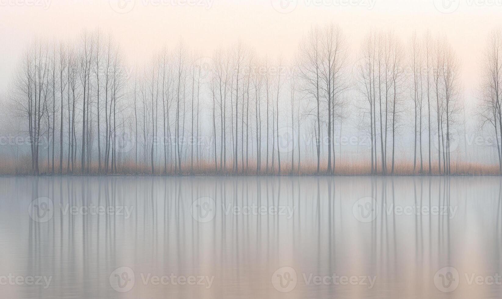 A forest of trees is reflected in the water photo