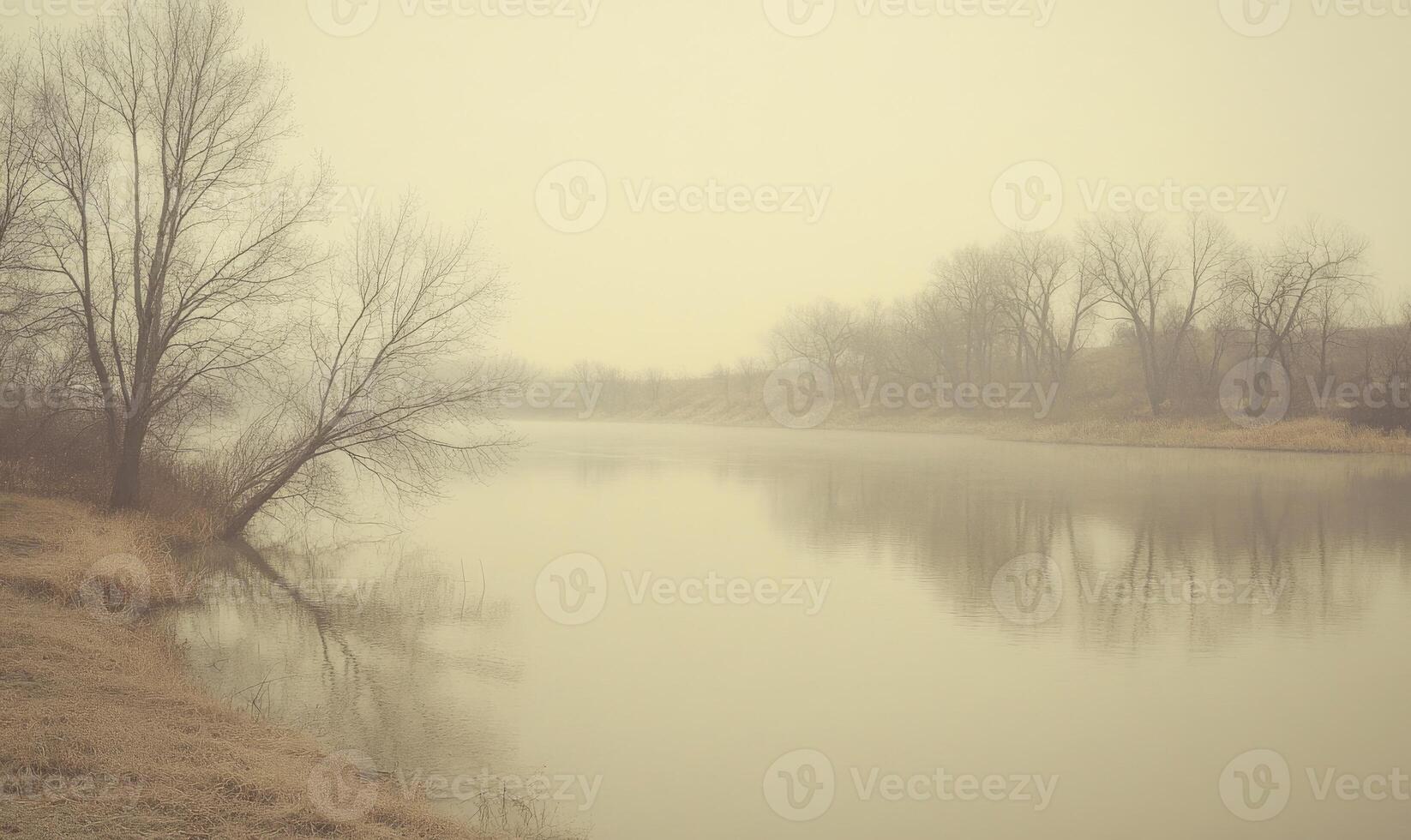 A foggy, misty day with a river in the background photo