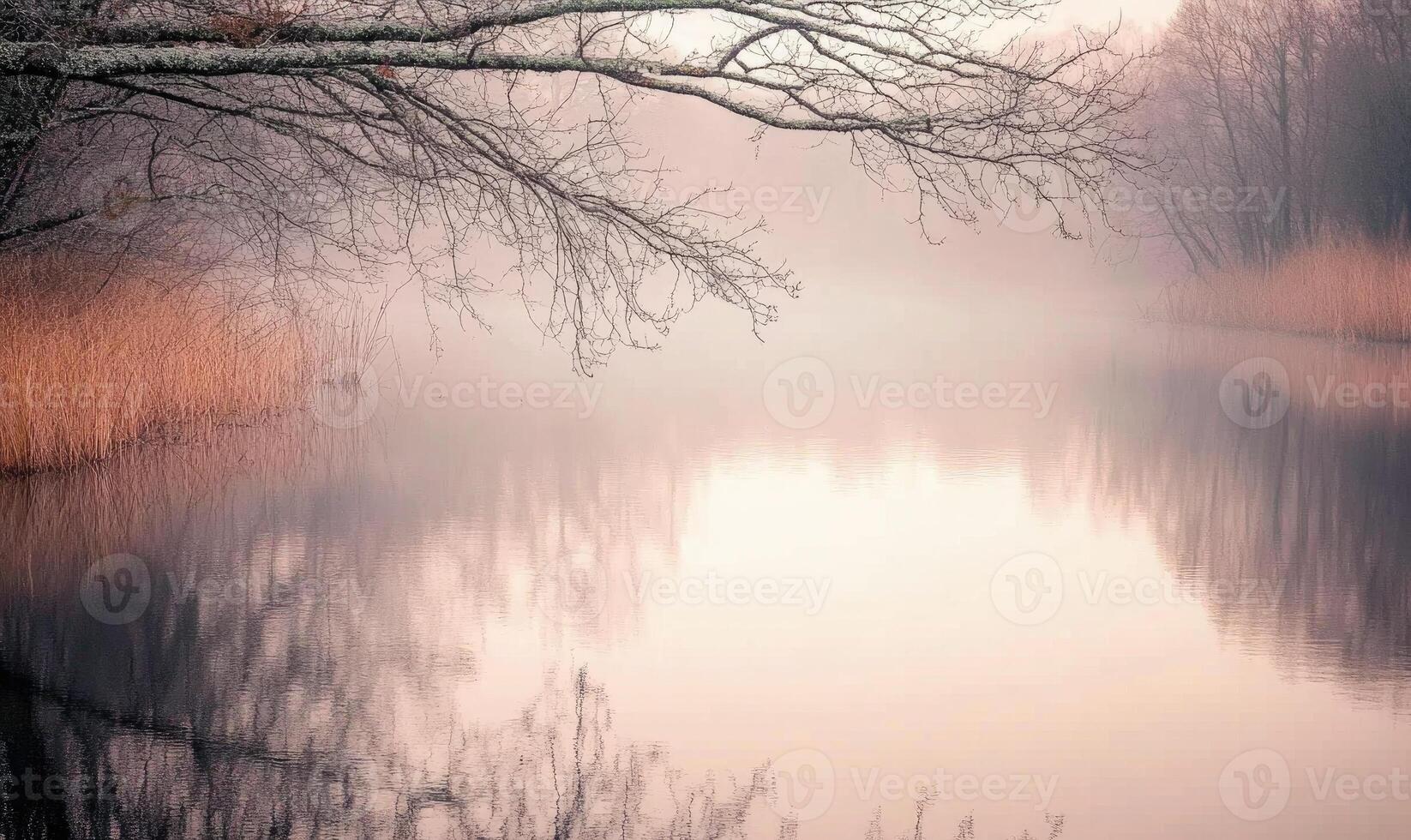 A tree branch is reflected in the water photo