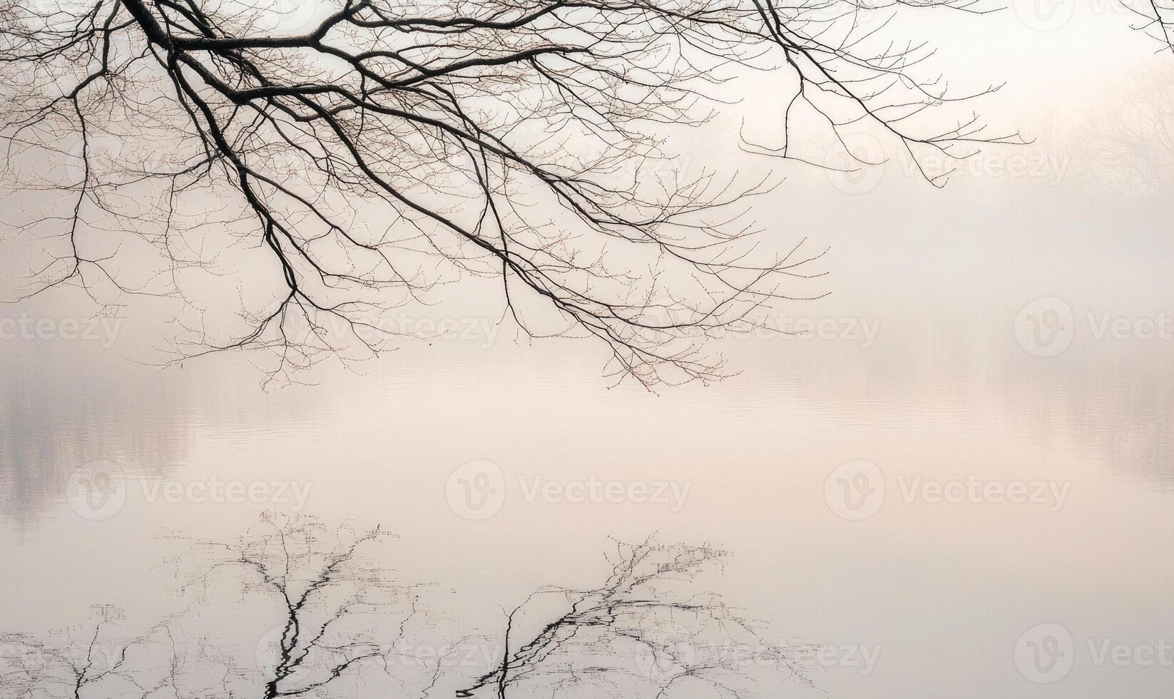 A tree branch is reflected in the water photo