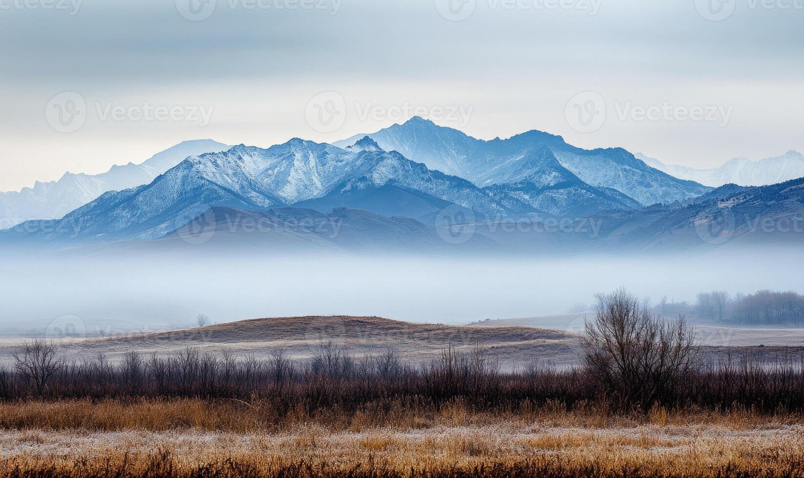 A foggy mountain range with a tree in the foreground photo