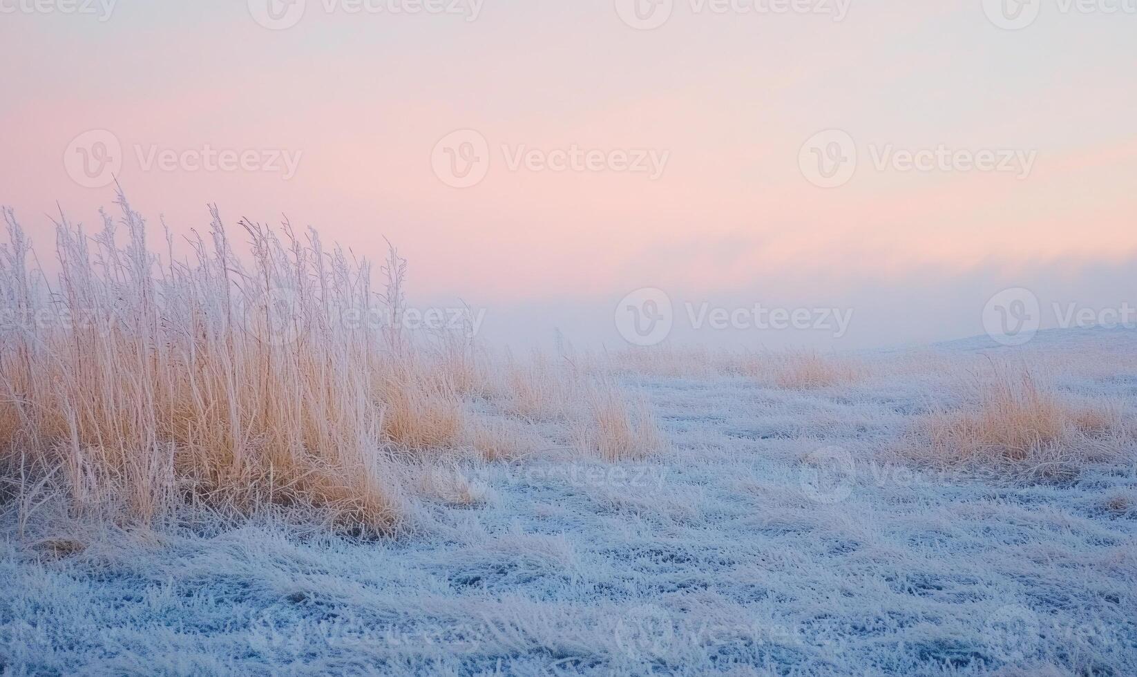 A field of snow covered grass with a pink sky in the background photo