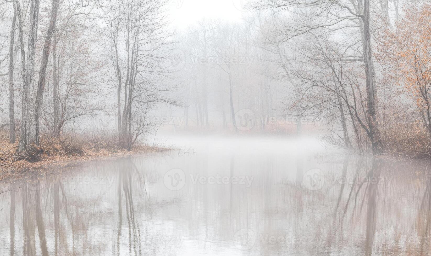 A foggy forest with a river running through it photo