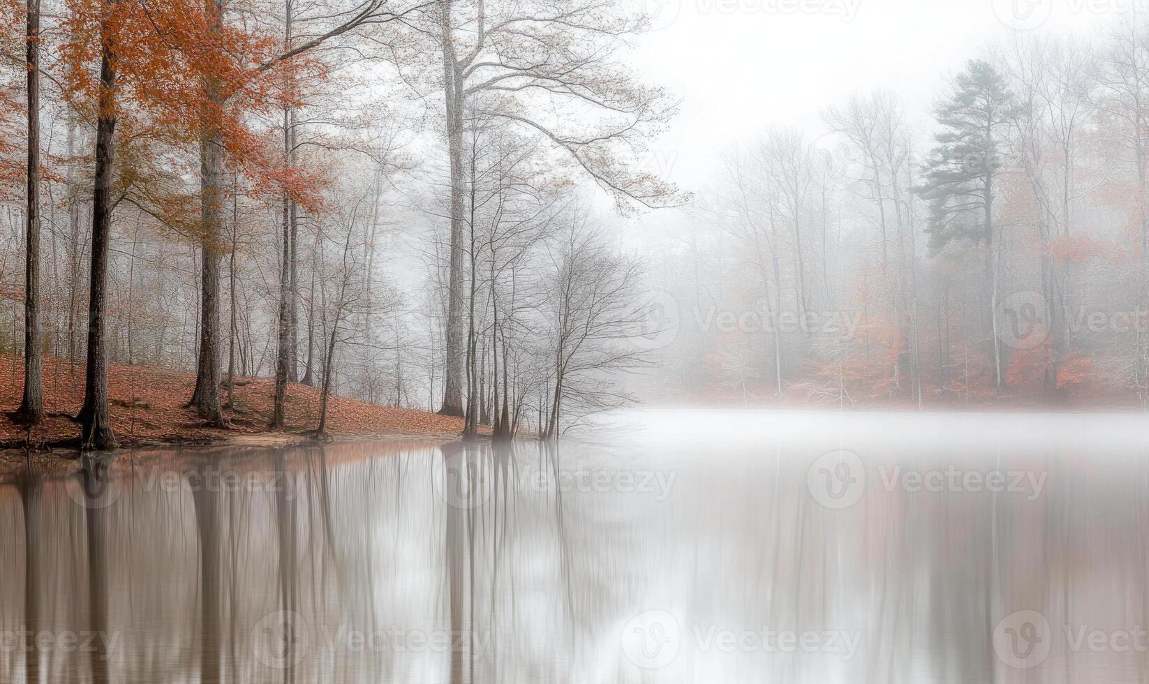 A foggy forest with a lake in the background photo