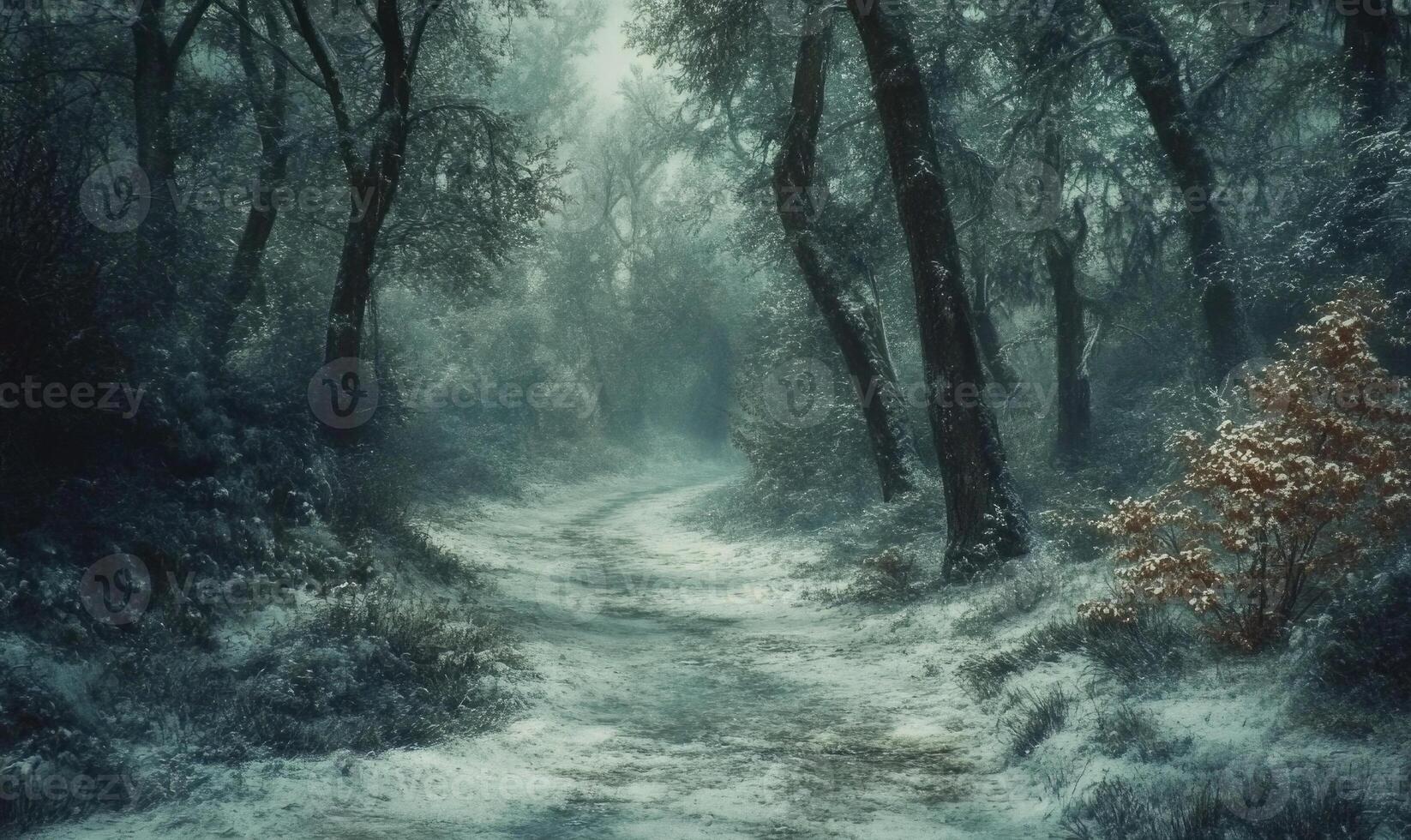 A snowy forest path with trees in the background photo