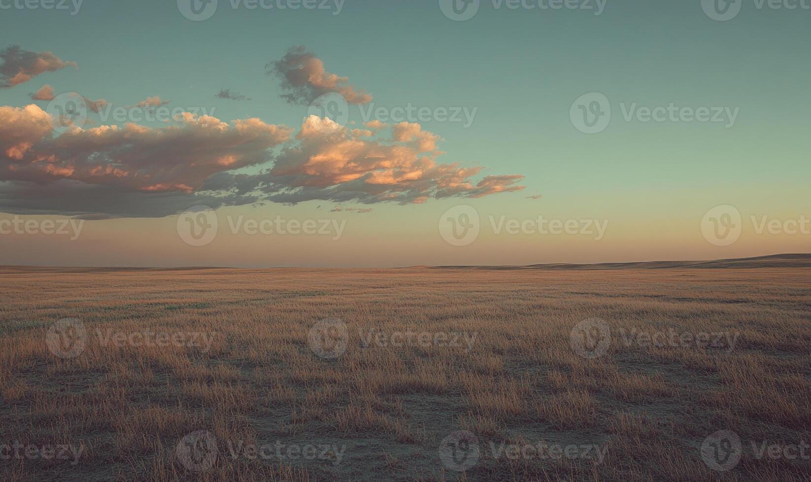A large, empty field with a cloudy sky in the background photo