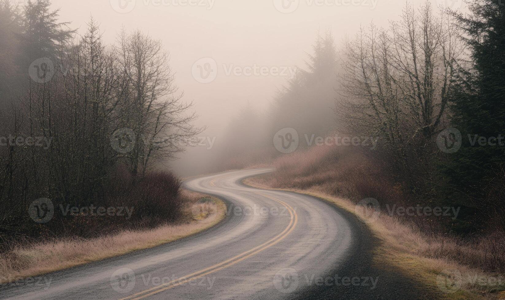 A road with trees on either side and a foggy atmosphere photo