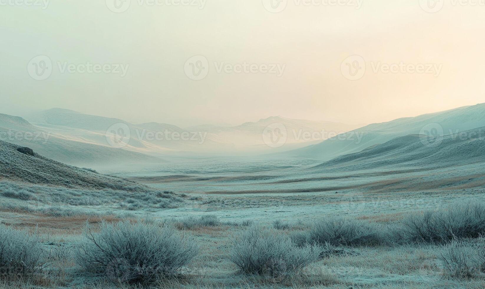 A snowy field with mountains in the background photo