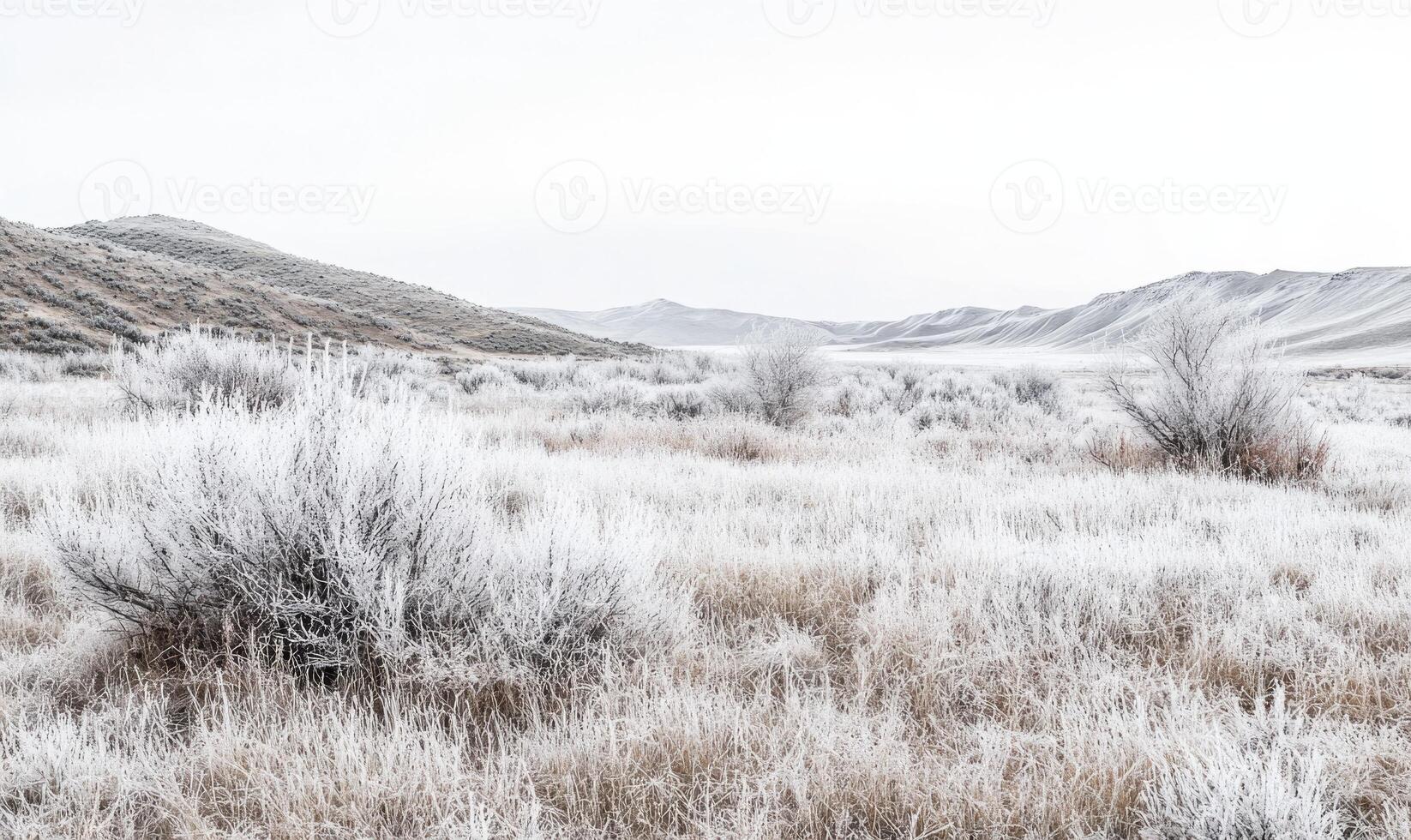A snowy field with a few trees in the foreground photo