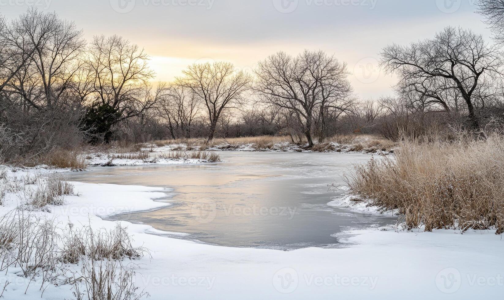 A frozen lake with trees in the background photo