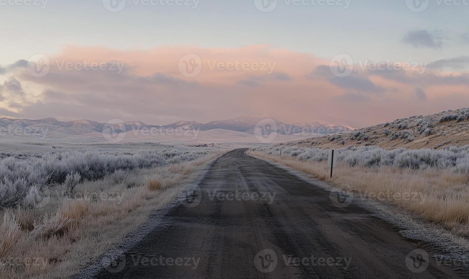A road in the middle of a desert with a cloudy sky in the background photo