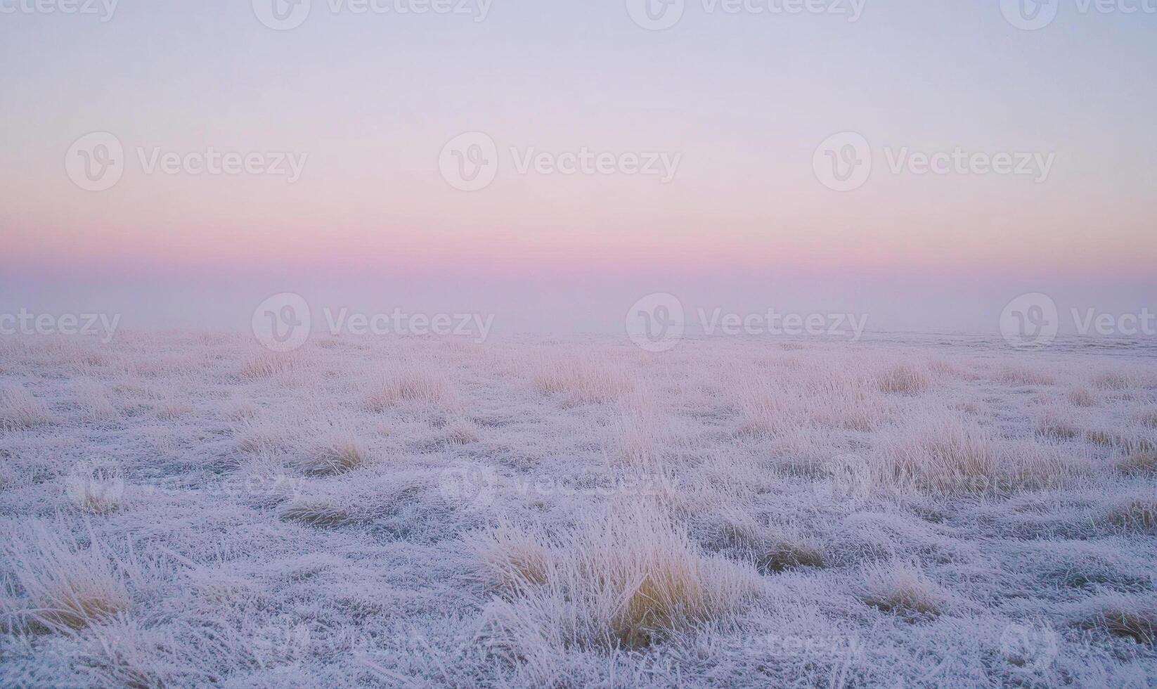 A field of snow covered grass with a pink sky in the background photo