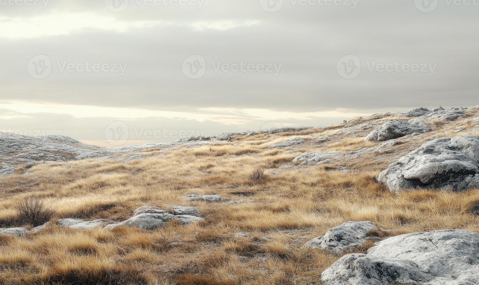 A desolate, rocky field with a cloudy sky in the background photo
