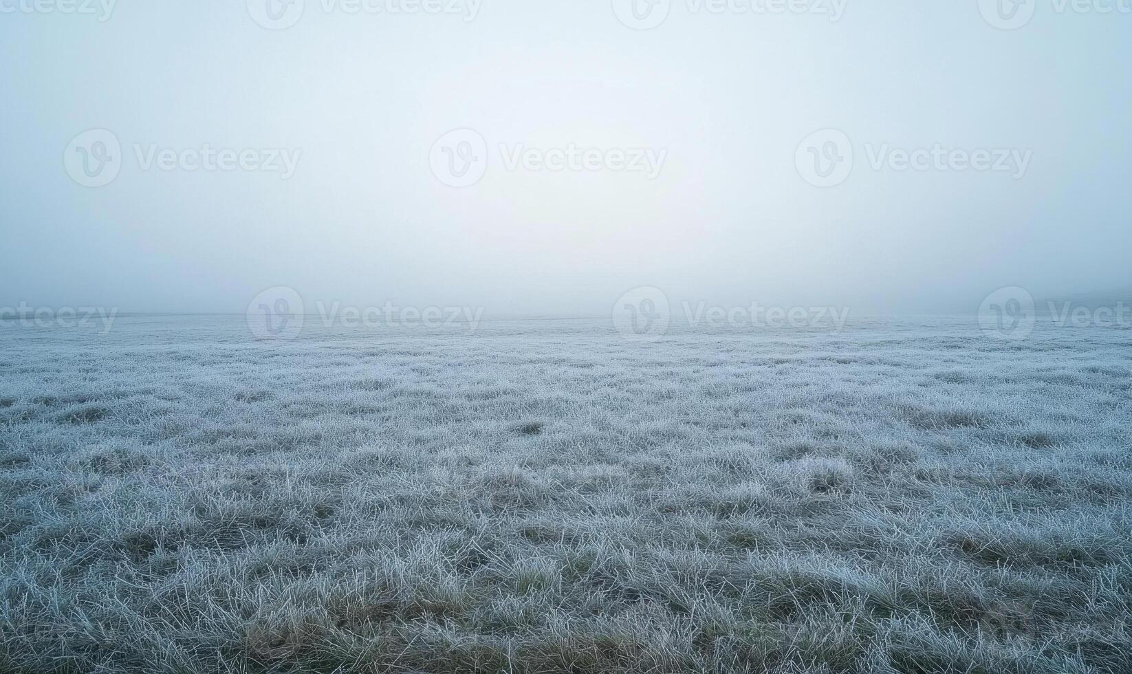 A field of snow covered grass with a foggy sky in the background photo