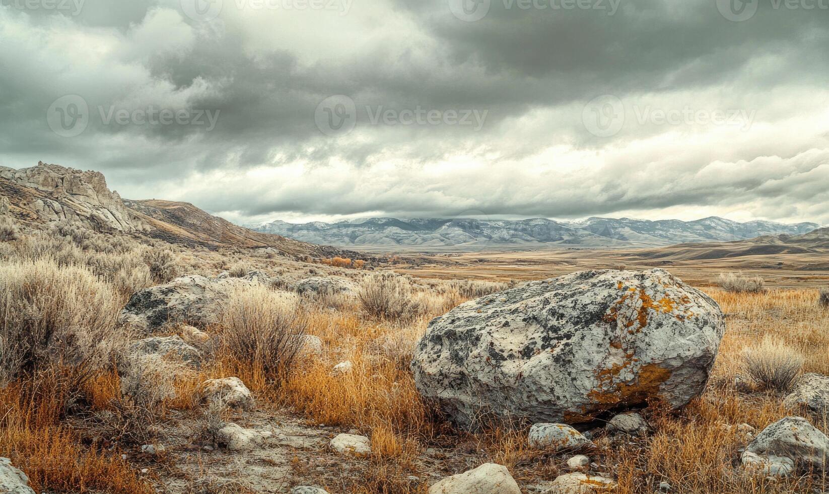 A large rock sits in a field of dry grass photo