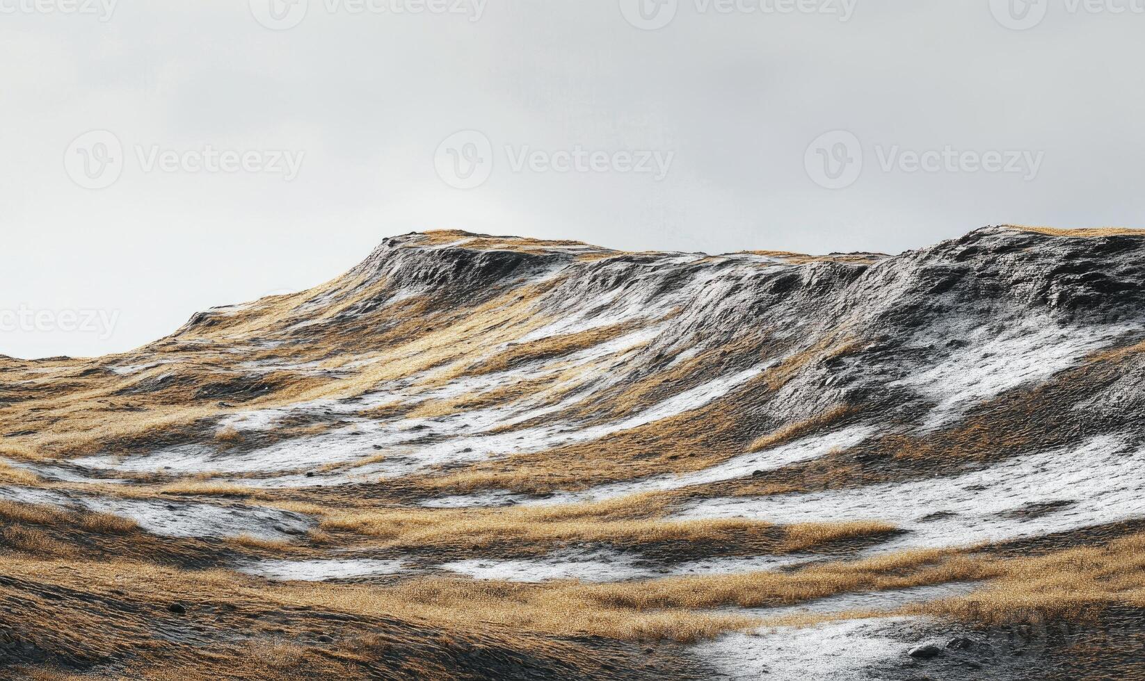 A mountain with snow on it and a hillside with a few trees photo