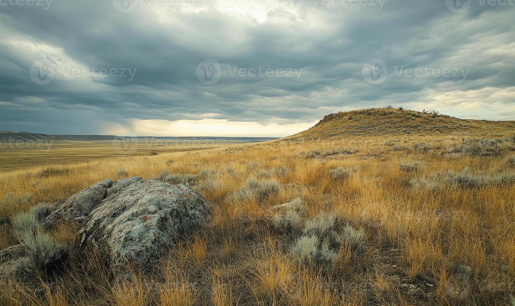 A rocky, dry field with a cloudy sky in the background photo