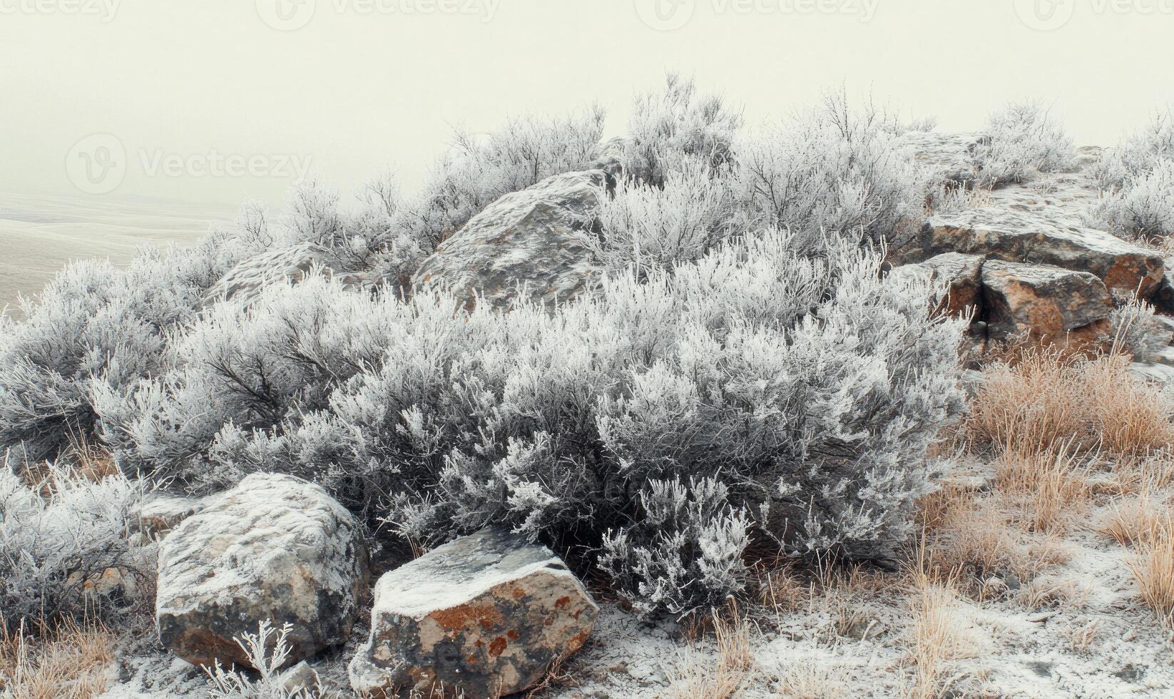A rocky hillside covered in snow and bushes photo